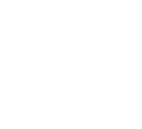 Léa de Nantes à Brest